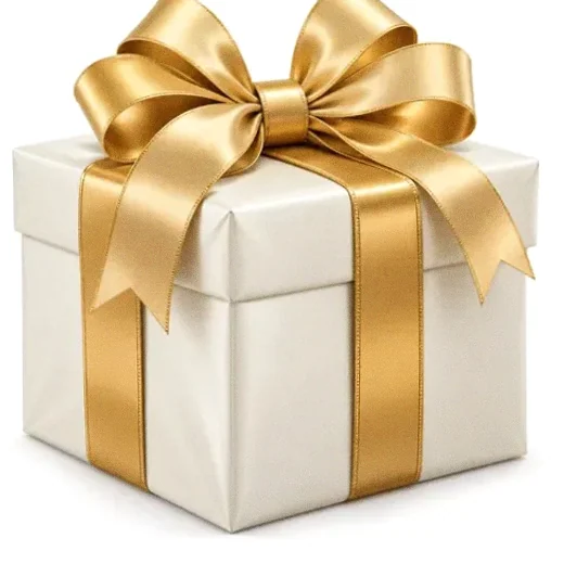 Ribbon gift box — Eq9